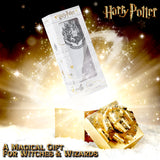 Harry Potter Gifts for Girls Hair Brush for All Hair Types Detangling Styling