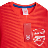 Arsenal F.C. Boys Pyjamas Set - Nightwear PJs for Kids - RED & BLUE - Get Trend