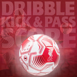 Liverpool F.C. Football Soccer Ball for Adults Teenagers Kids Training Football Size 3