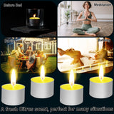 Deco Express Citronella Tealight Candles Multipack of 50&nbsp; 8 Hours Burning Time
