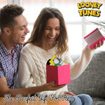 Looney Tunes Slipper Socks for Ladies, Multicoloured Slipper Socks for Women - Get Trend